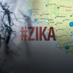 Zika tiene en riesgo a 2,000 millones de personas